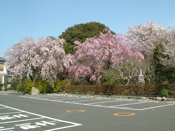 季節の風景