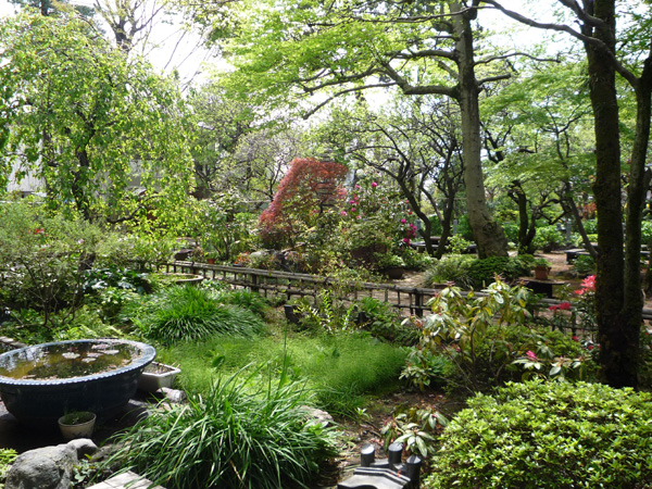 季節の風景