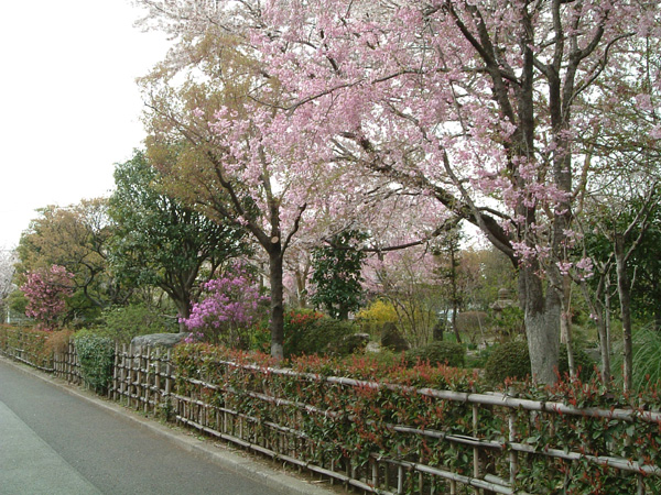 季節の風景