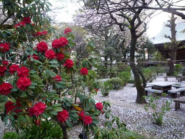 季節の風景